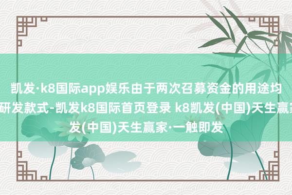 凯发·k8国际app娱乐由于两次召募资金的用途均为投资新药研发款式-凯发k8国际首页登录 k8凯发(中国)天生赢家·一触即发