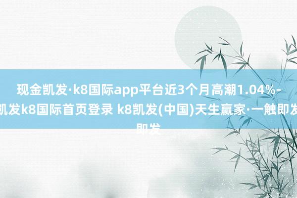 现金凯发·k8国际app平台近3个月高潮1.04%-凯发k8国际首页登录 k8凯发(中国)天生赢家·一触即发