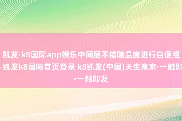 凯发·k8国际app娱乐中间层不错随温度进行自便组合-凯发k8国际首页登录 k8凯发(中国)天生赢家·一触即发