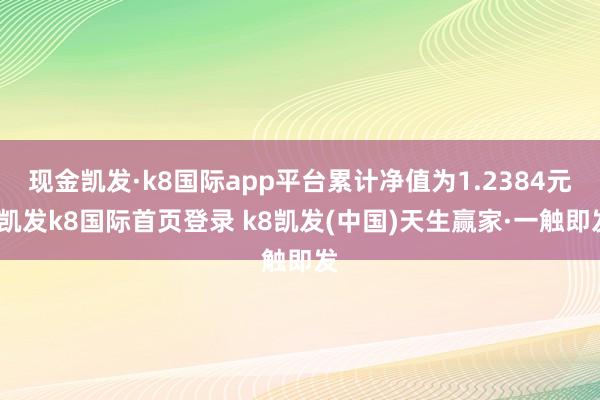 现金凯发·k8国际app平台累计净值为1.2384元-凯发k8国际首页登录 k8凯发(中国)天生赢家·一触即发